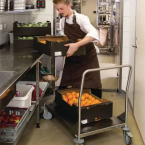 Stainless Steel Platform Trucks